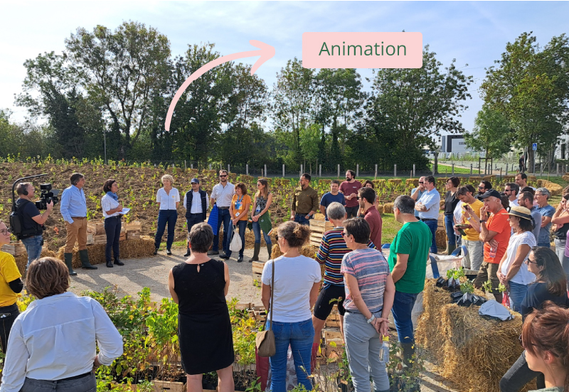 Micro-forêt Ecran visuel