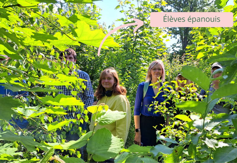 Micro-forêt Ecran visuel