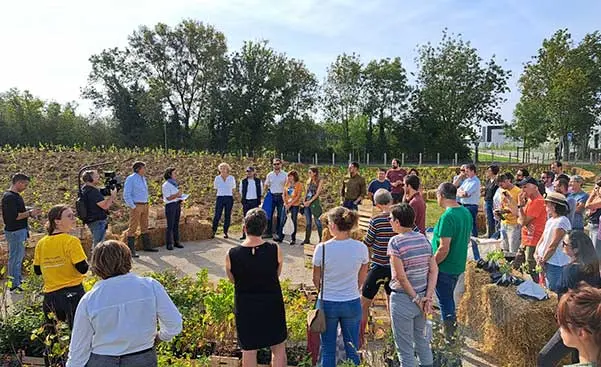 Plantation d'une micro-forêt avec des enfants