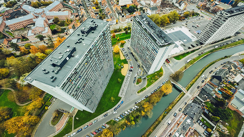 microforêt ultra urbaine près de Gand