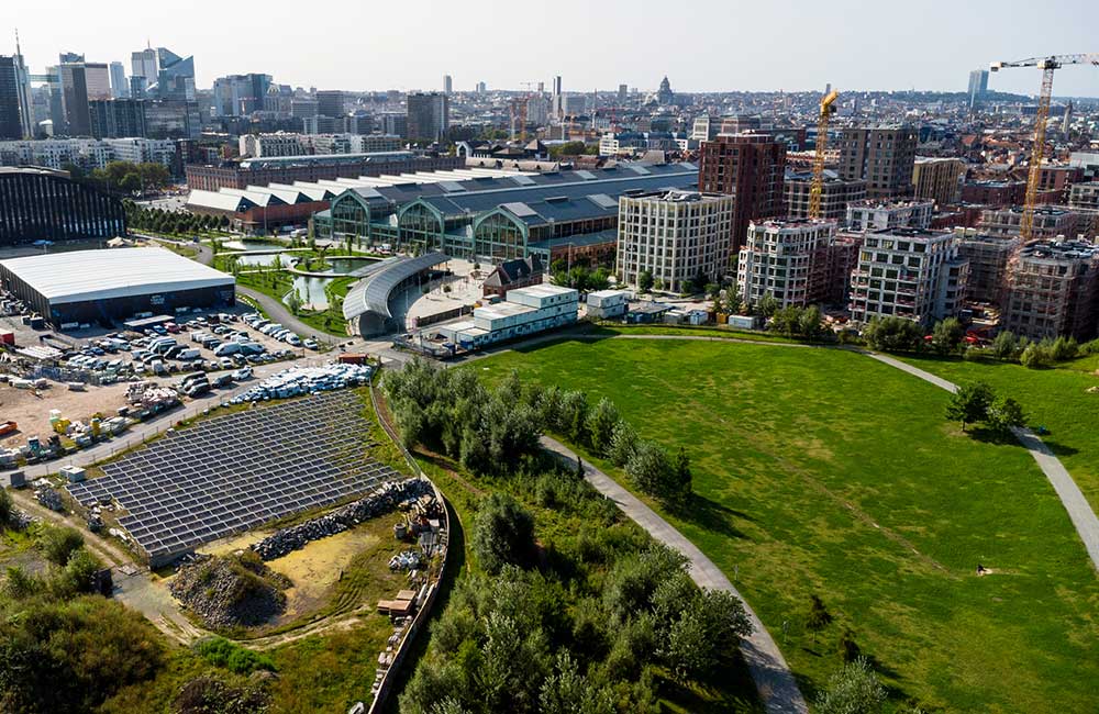 Forêt urbaine Miyawaki dans le parc Tour&Taxis Belgique