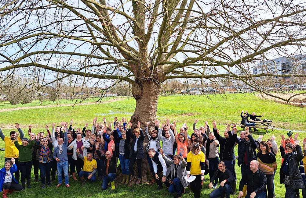 Macif crée une microforêt sur son campus à Niort avec Alvéoles en ville et Urban Forests