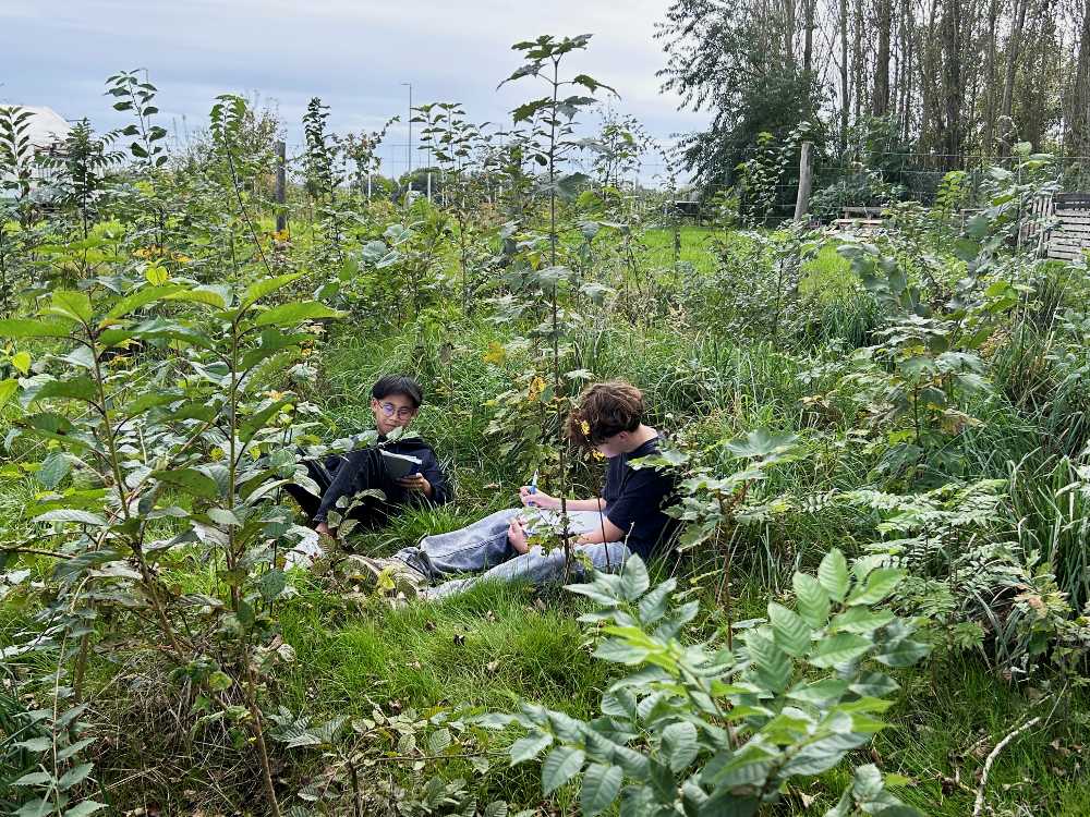 lecture sereine dans une micro-forêt