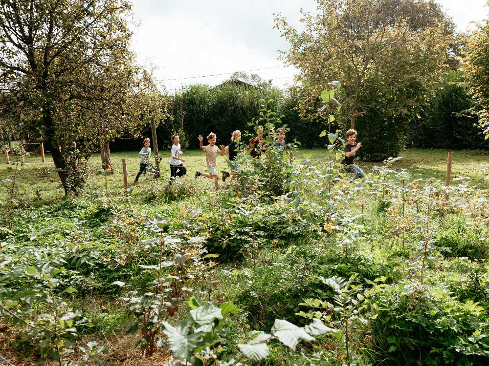 micro-forêt dans une école avec Urban Forests