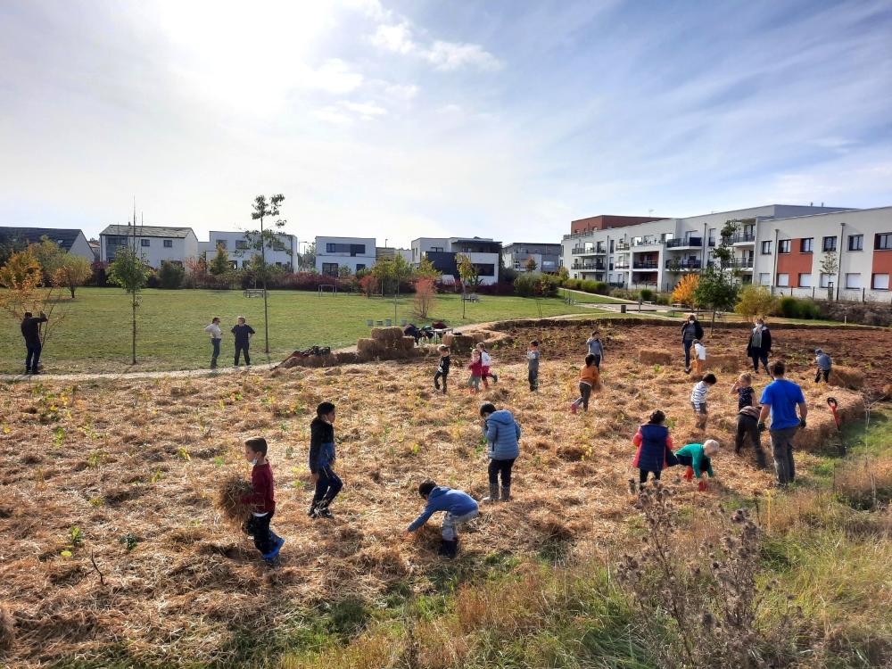 plantation participative d'une micro-forêt avec Urban Forests