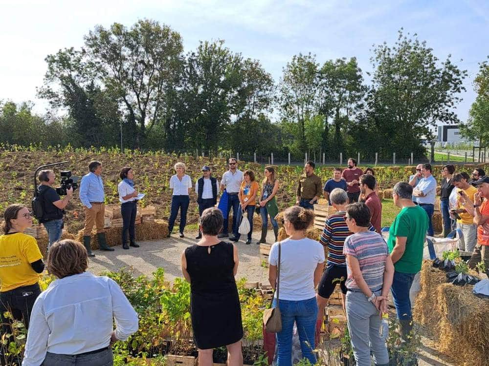 une micro-forêt avec Urban Forests en entreprise